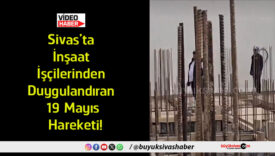 ayısa