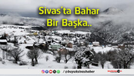bahaa