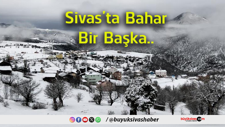 bahaa