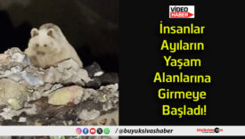 başalda