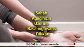 basas