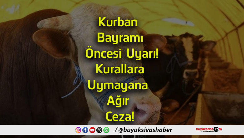 bayrams