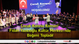 beğenis