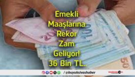 bin tl