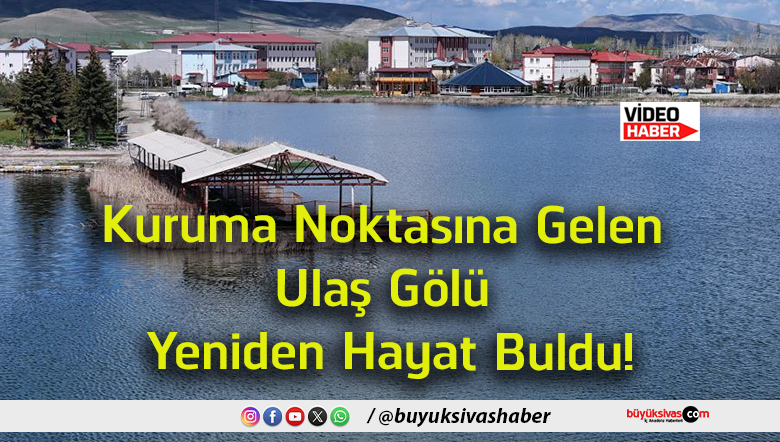 bulas