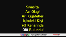 bulasa