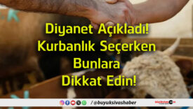 bunaas