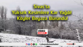 büründs