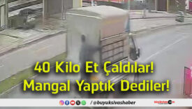 çaldılar