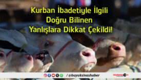 çekild