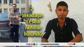 cesedi