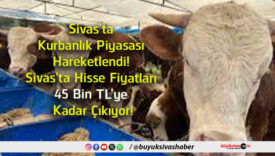 çıkıyor