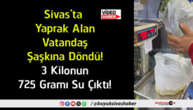 çıktı