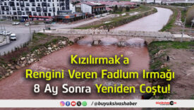 coştus