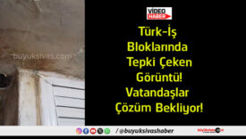 çözüs