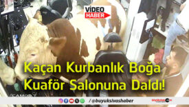 daldı