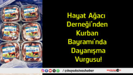 dayanışma