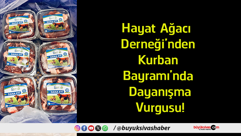 dayanışma