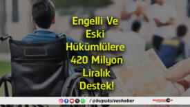 destek