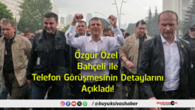 detay