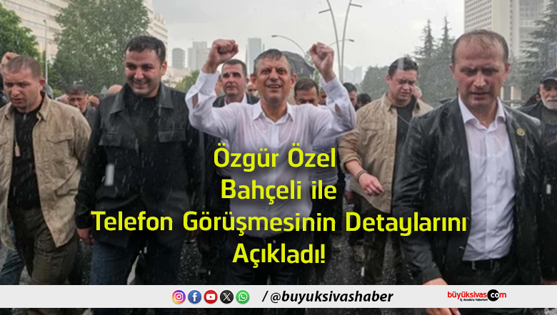 detay