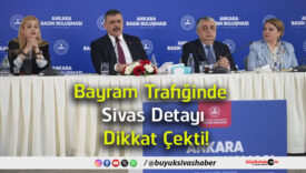 detay