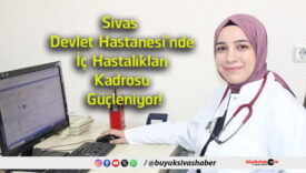devlet