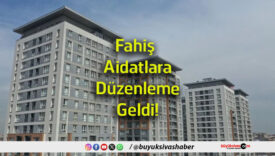 düzen