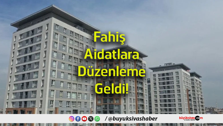 düzen