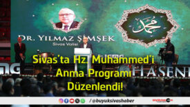 düzen