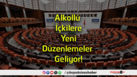 düzenlemeler