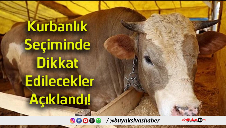 edilecek