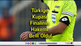 finalisa