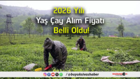 fiyats