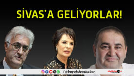 gelis