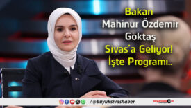 geliyors