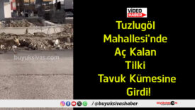 girdi