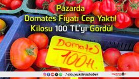gördü