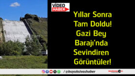 görüntüler