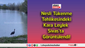göü