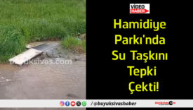 hamidiye