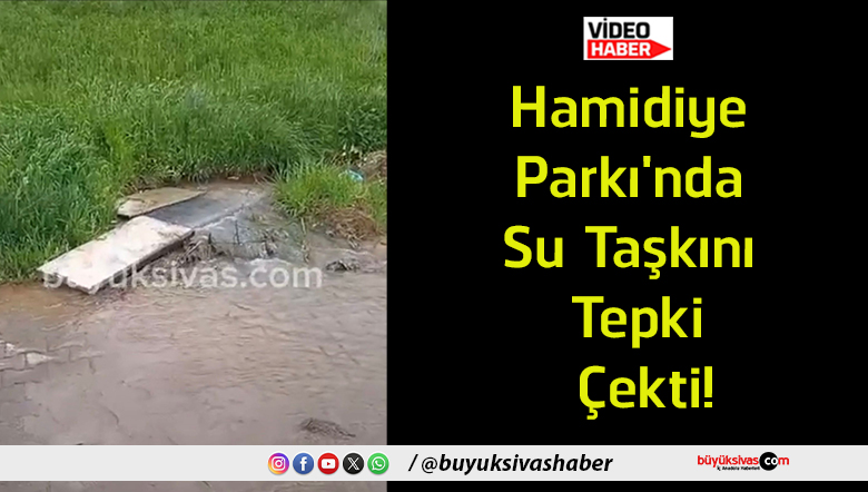 hamidiye