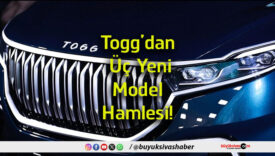 hamlesi