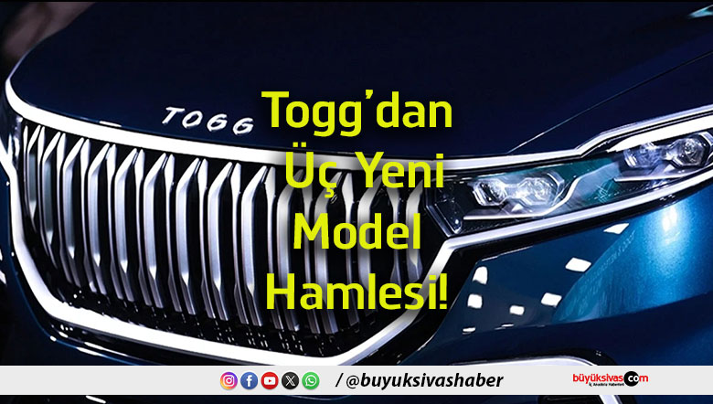 hamlesi