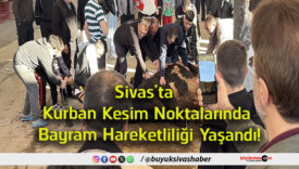 hareketlilik