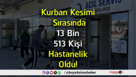 hastanelik