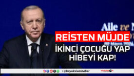 hibe