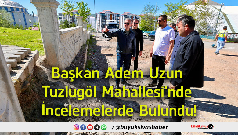 incelemelerde