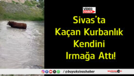ırmak