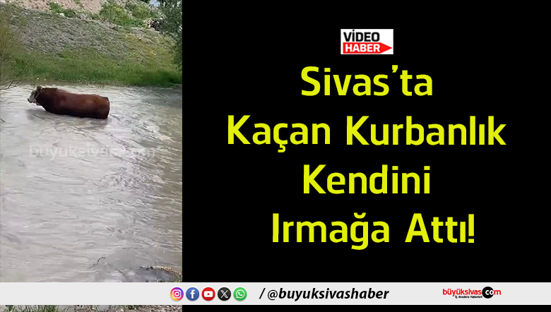 ırmak